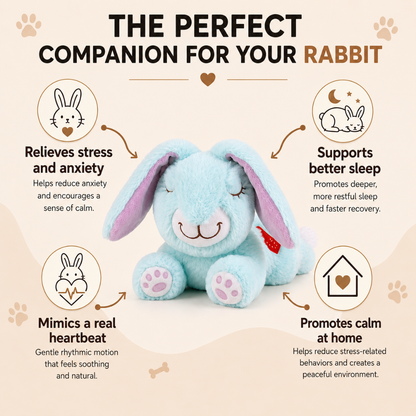 Calming Plush for Bunnies